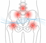 Hips & Pelvis