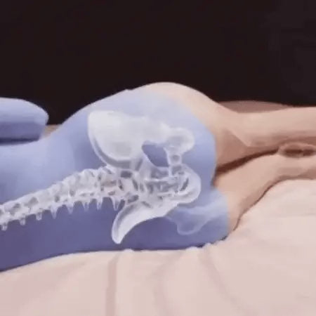 nourial pillow v2 1 spine alignment