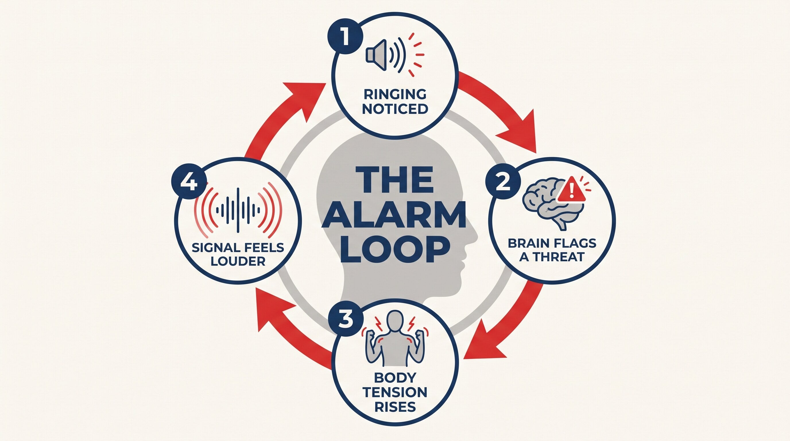 The tinnitus nervous-system amplification loop